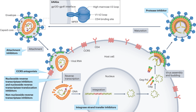 Advancements in Human Immunodeficiency Virus Therapeutics 8 Advancements in Human Immunodeficiency Virus Therapeutics