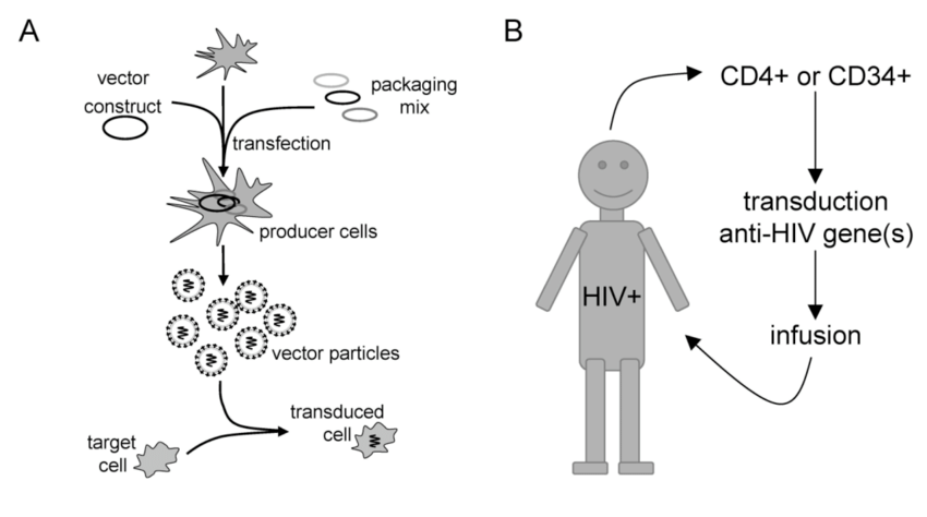 Advancements in Human Immunodeficiency Virus Therapeutics 10 Advancements in Human Immunodeficiency Virus Therapeutics