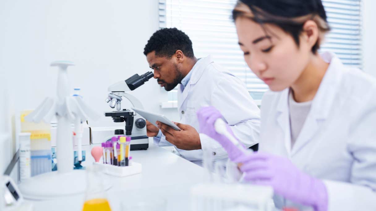 Laboratory Equipment Market: Size, Share, and Growth Analysis 7 New-RD-projects-2